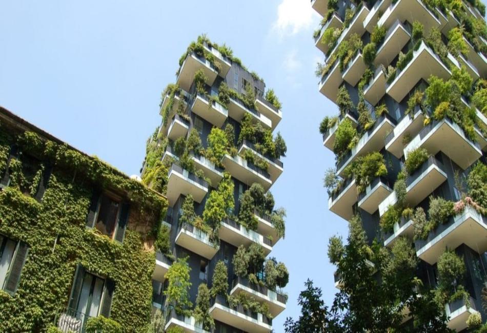 innovacion arquitectonica